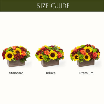 Happy Harvest Garden –  Beantown Florist, Everett MA
