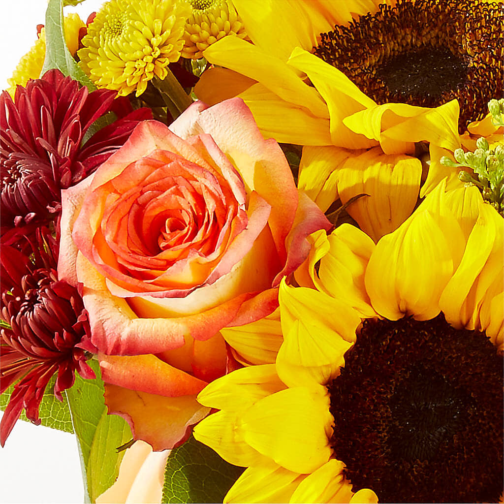 Golden Gourd Pumpkin Bouquet –  Beantown Florist, Everett MA