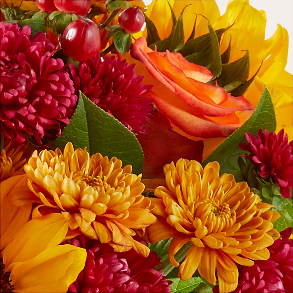 Sweater Season - A Florist Original –  Beantown Florist, Everett MA
