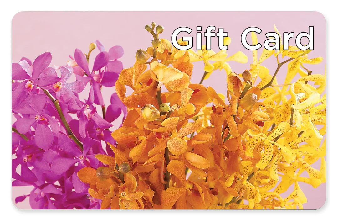 Gift Card –  Beantown Florist, Everett MA