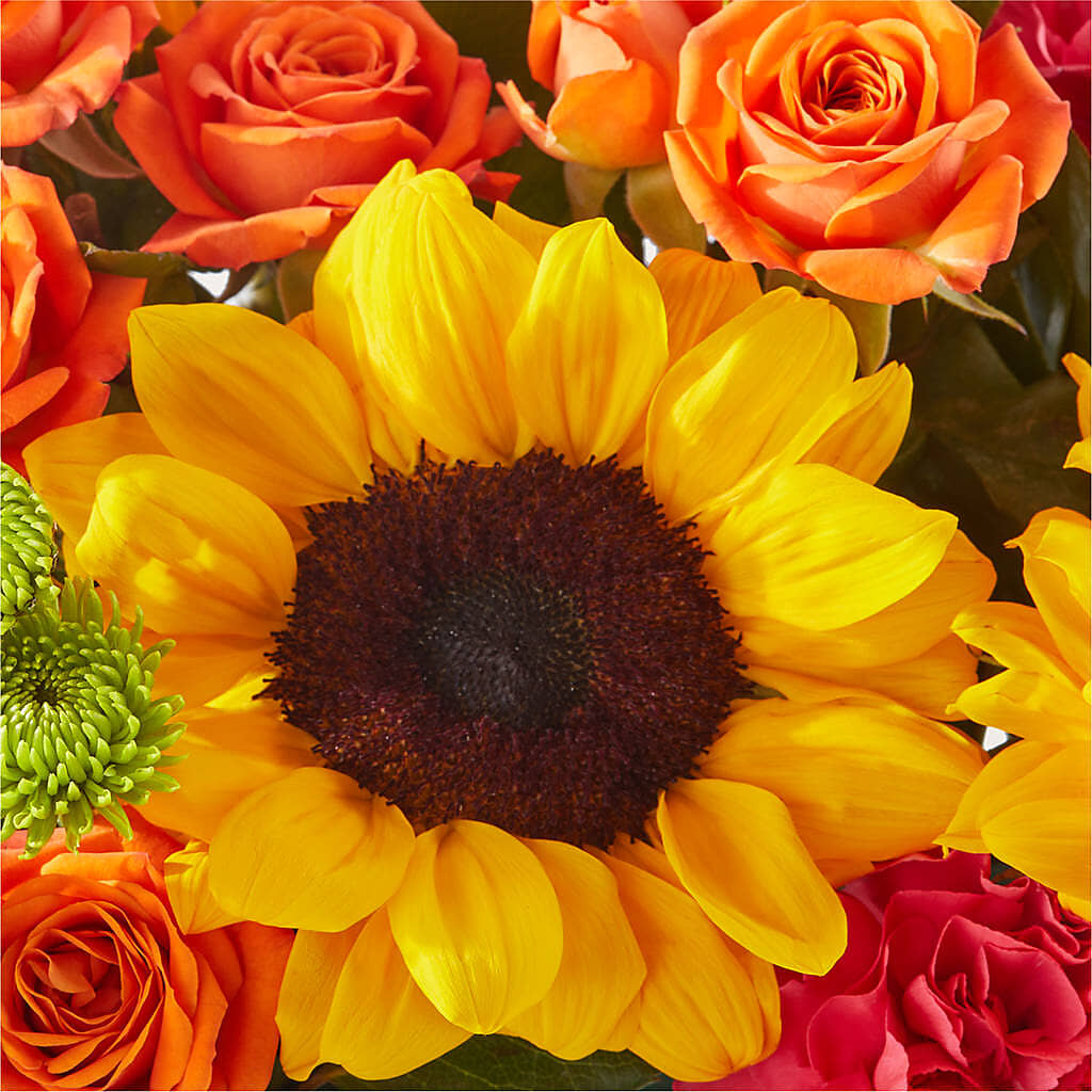Sun-drenched Blooms Box Bouquet –  Beantown Florist, Everett MA