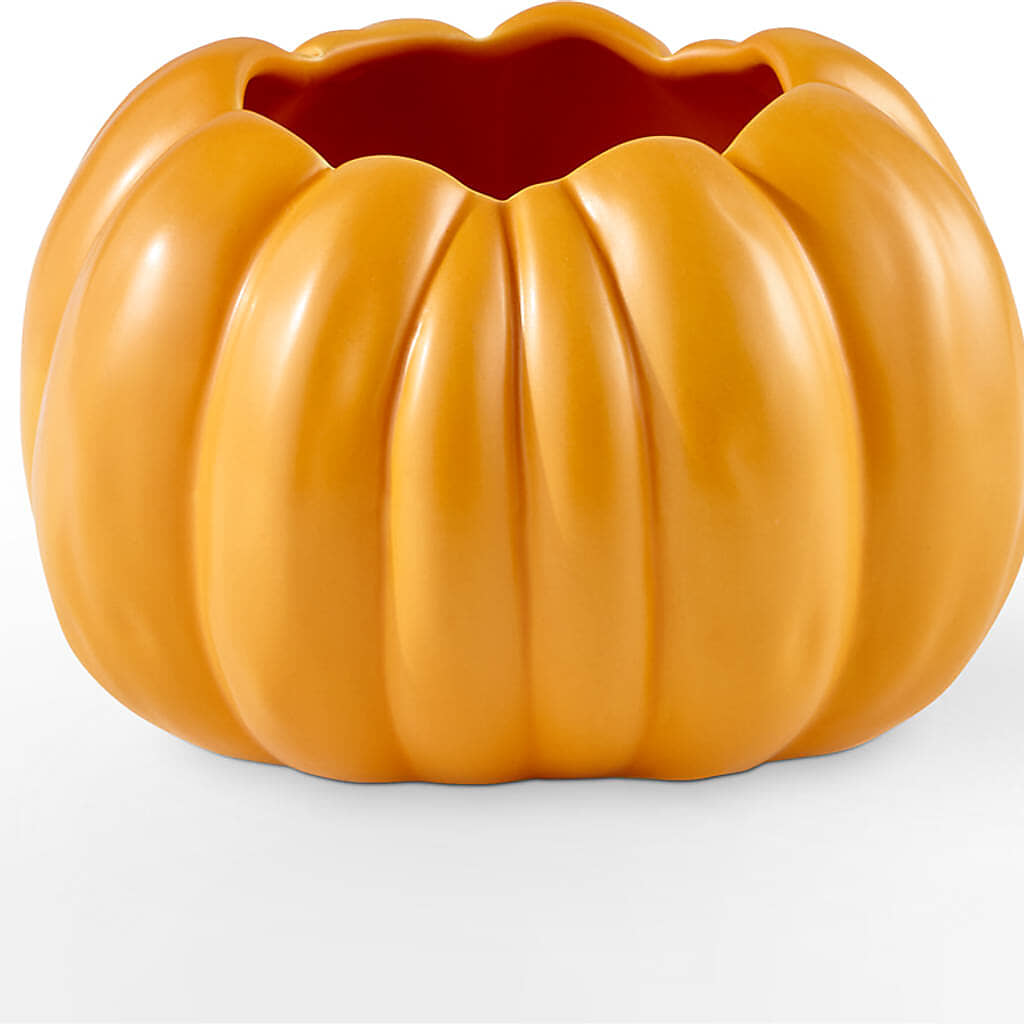 Pick of the Patch Pumpkin Bouquet –  Beantown Florist, Everett MA