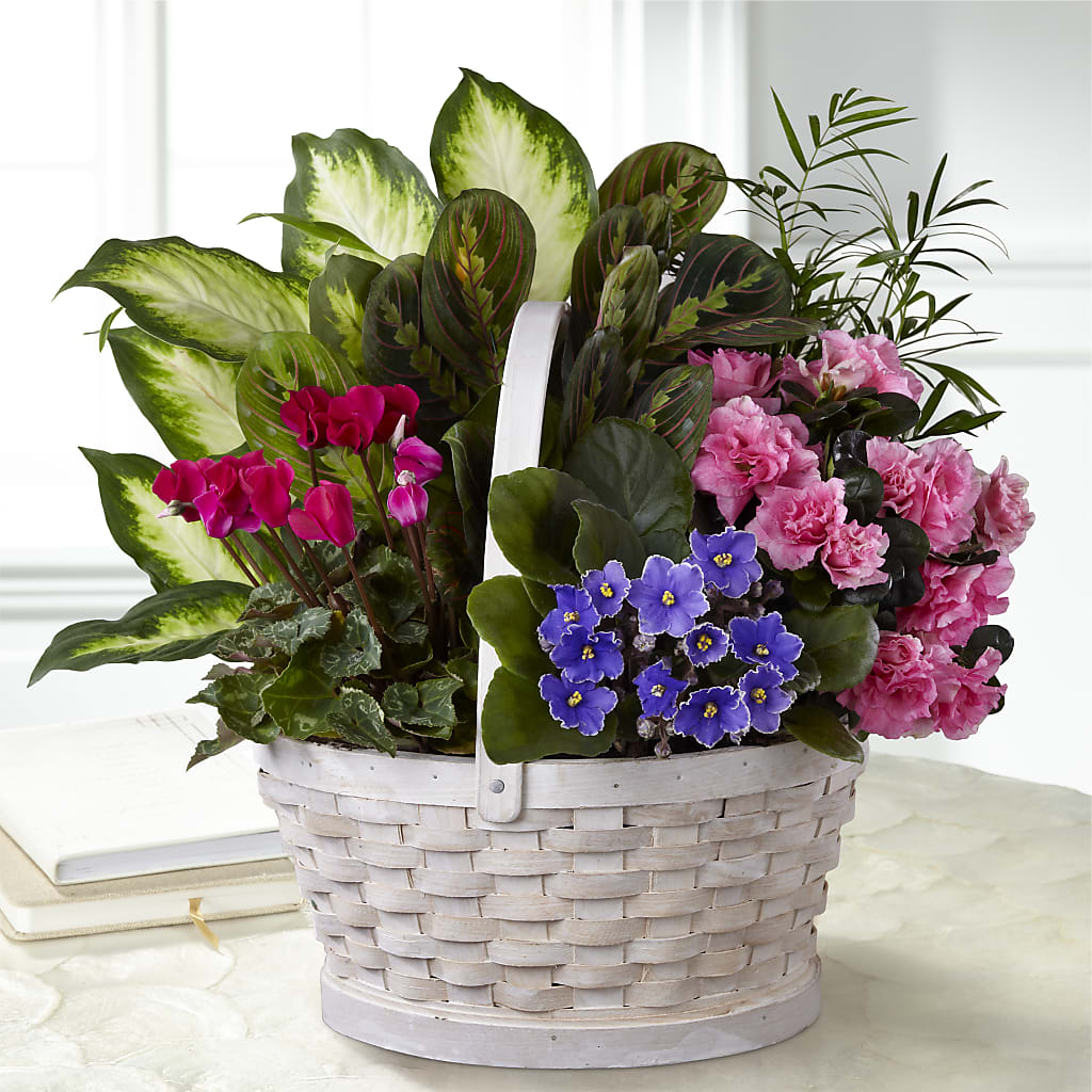 Peaceful Garden Planter –  Beantown Florist, Everett MA