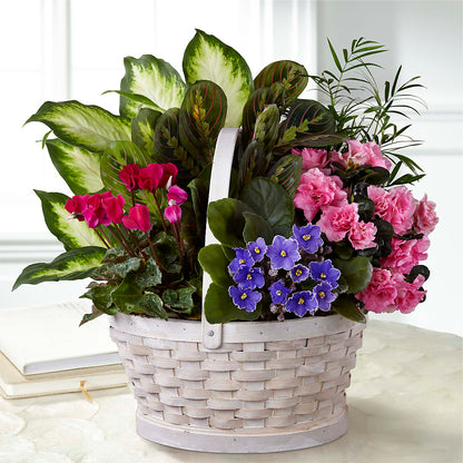 Peaceful Garden Planter –  Beantown Florist, Everett MA