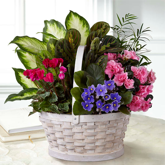 Peaceful Garden Planter –  Beantown Florist, Everett MA