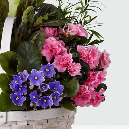 Peaceful Garden Planter –  Beantown Florist, Everett MA