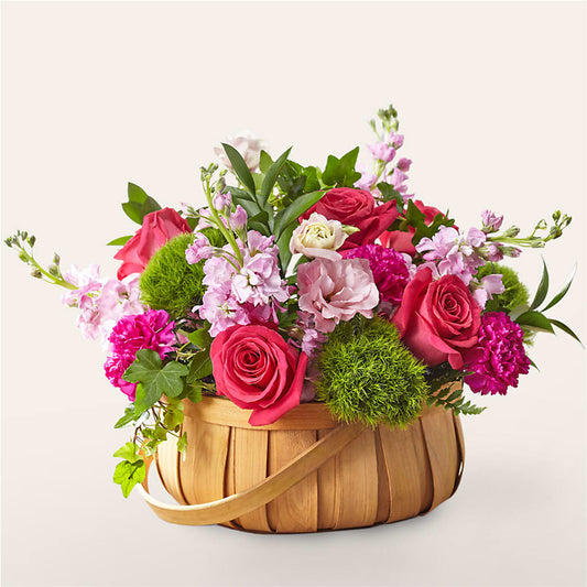 Radiance in Bloom Basket –  Beantown Florist, Everett MA