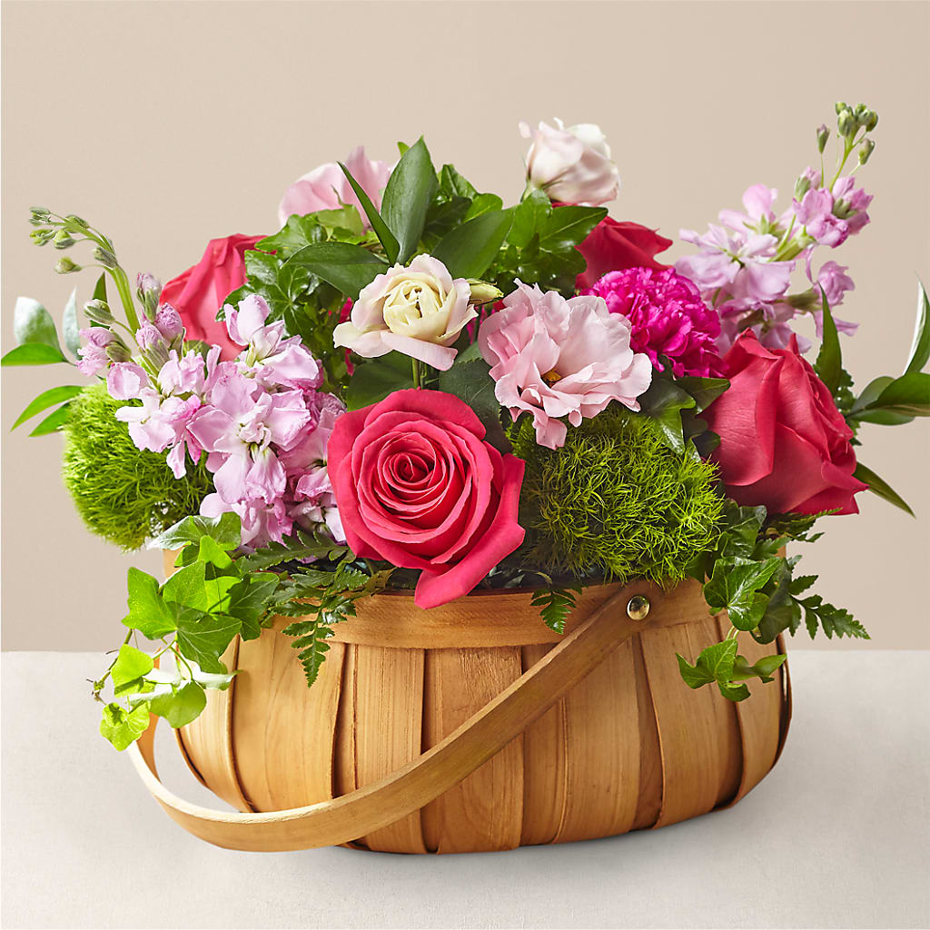 Radiance in Bloom Basket –  Beantown Florist, Everett MA