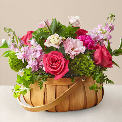 Radiance in Bloom Basket –  Beantown Florist, Everett MA