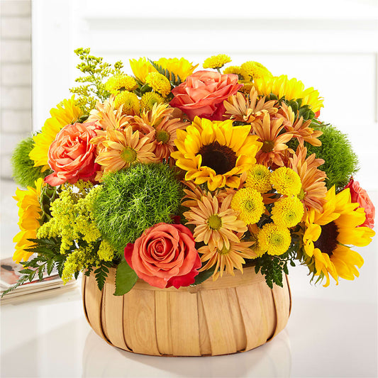 Harvest Sunflower Basket –  Beantown Florist, Everett MA