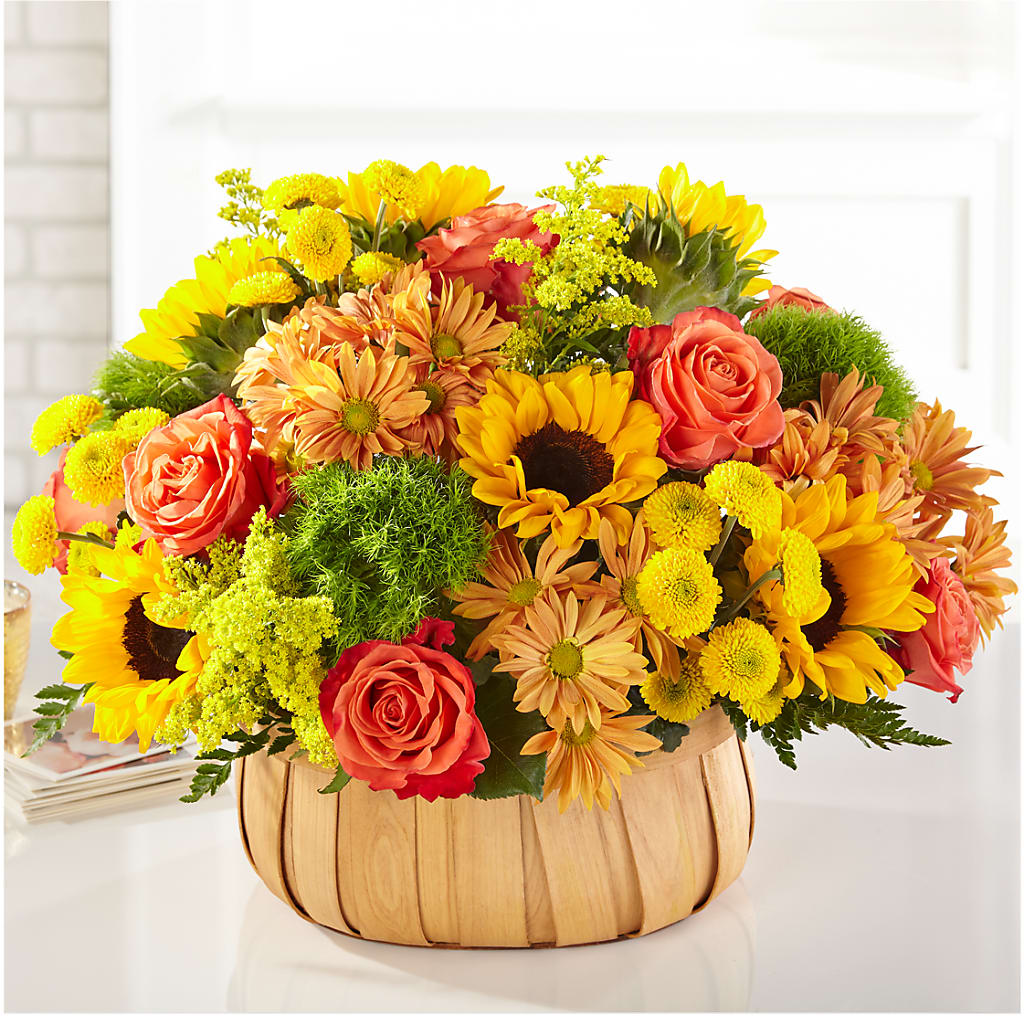 Harvest Sunflower Basket –  Beantown Florist, Everett MA