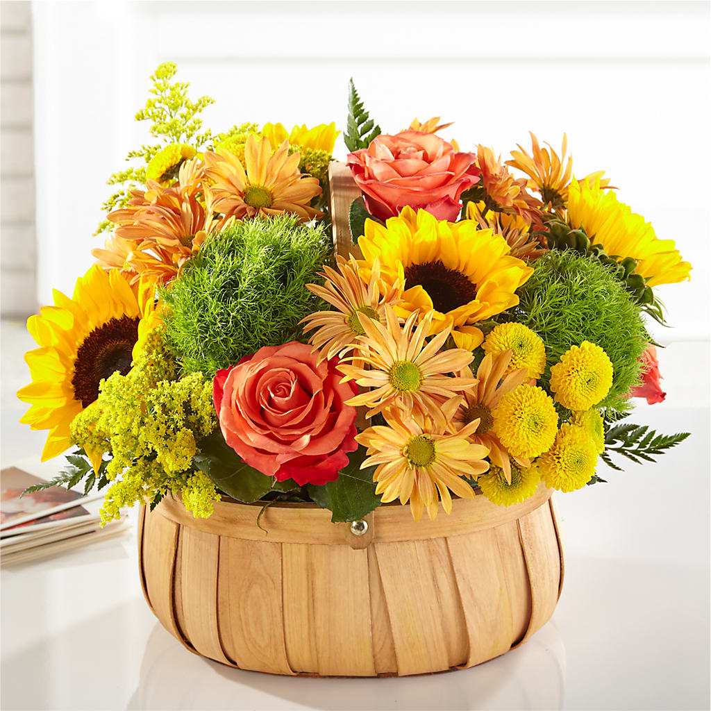 Harvest Sunflower Basket –  Beantown Florist, Everett MA