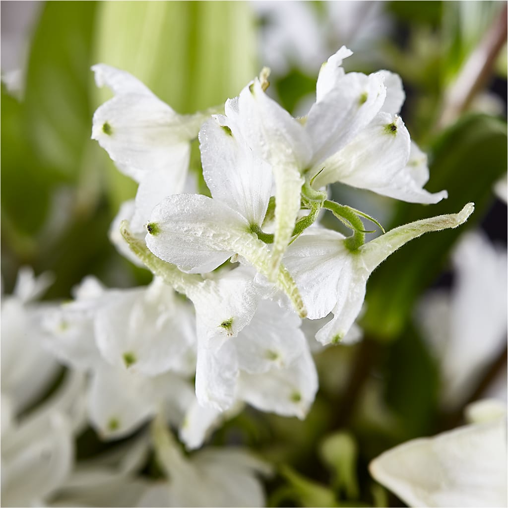 Classic Ivory – A Florist Original –  Beantown Florist, Everett MA