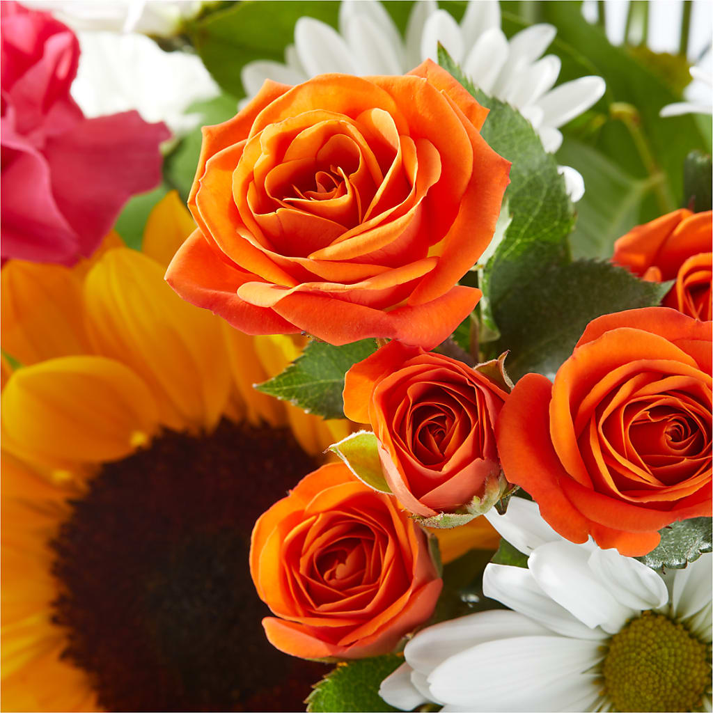Sun-drenched Blooms Bouquet –  Beantown Florist, Everett MA