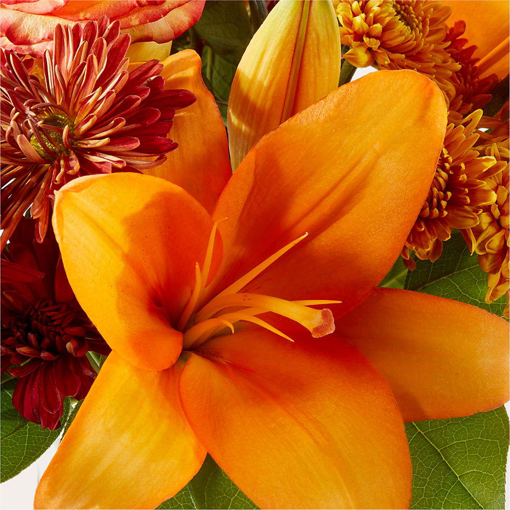 Autumnal Aroma Bouquet –  Beantown Florist, Everett MA