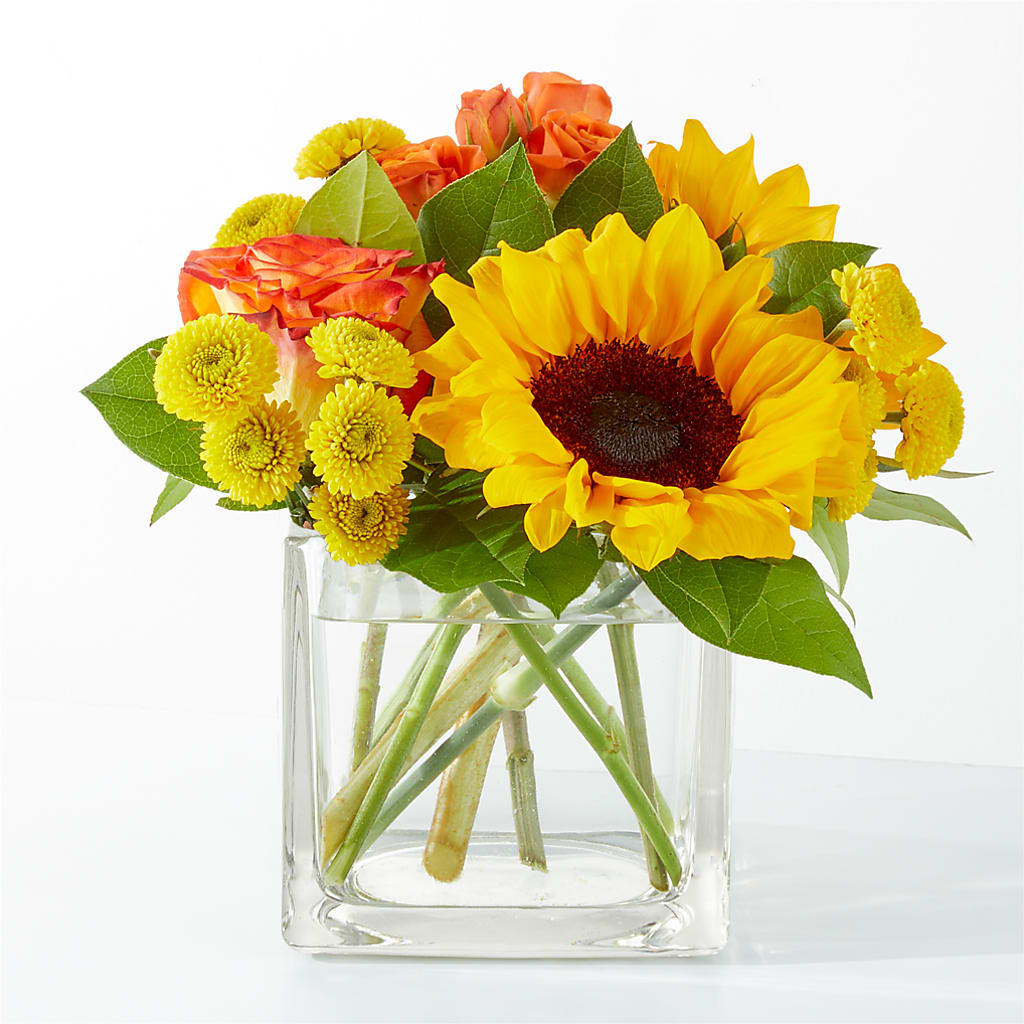 Picnic in the Park Bouquet –  Beantown Florist, Everett MA