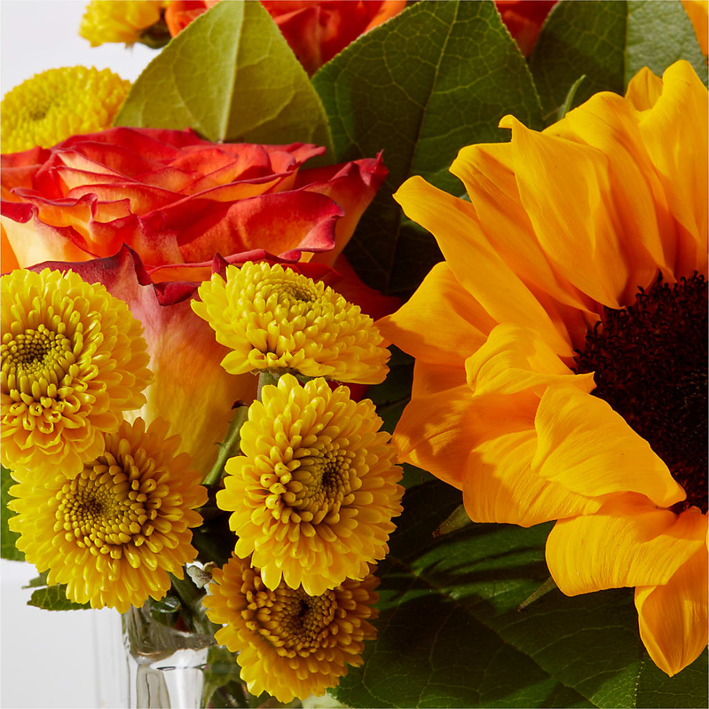 Picnic in the Park Bouquet –  Beantown Florist, Everett MA
