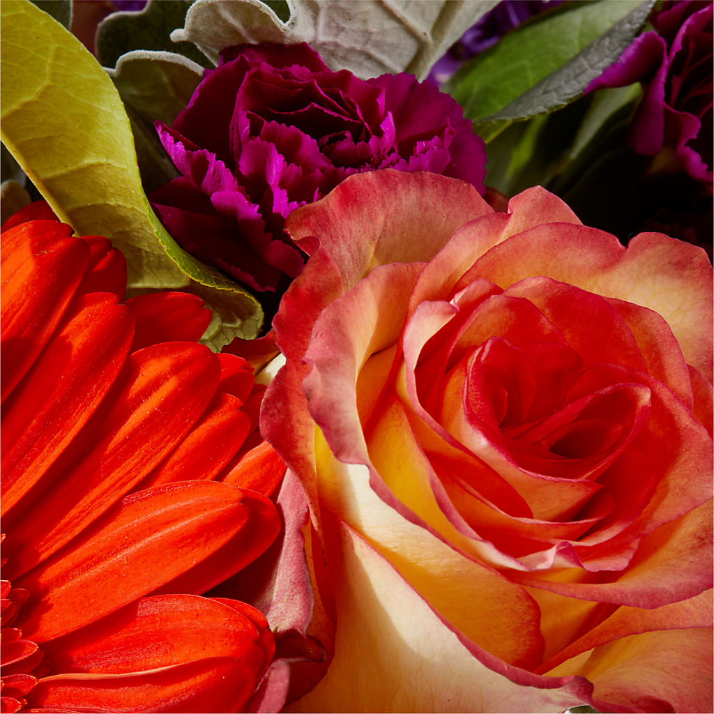 Sangria Bouquet –  Beantown Florist, Everett MA