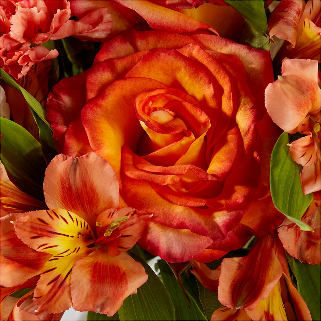 Apricot Glow Bouquet –  Beantown Florist, Everett MA