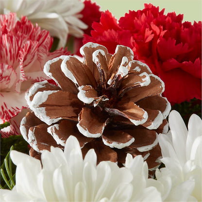 Candy Cane Lane Bouquet –  Beantown Florist, Everett MA