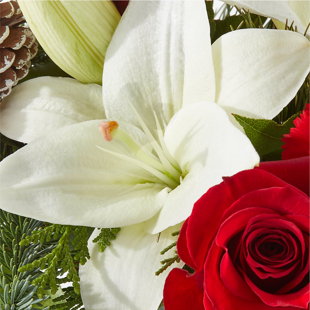 Oh So Jolly Bouquet –  Beantown Florist, Everett MA