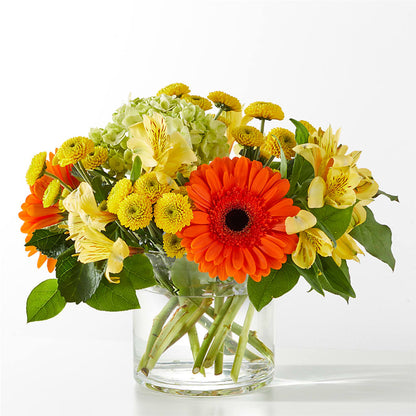 Autumn Sunshine Bouquet –  Beantown Florist, Everett MA