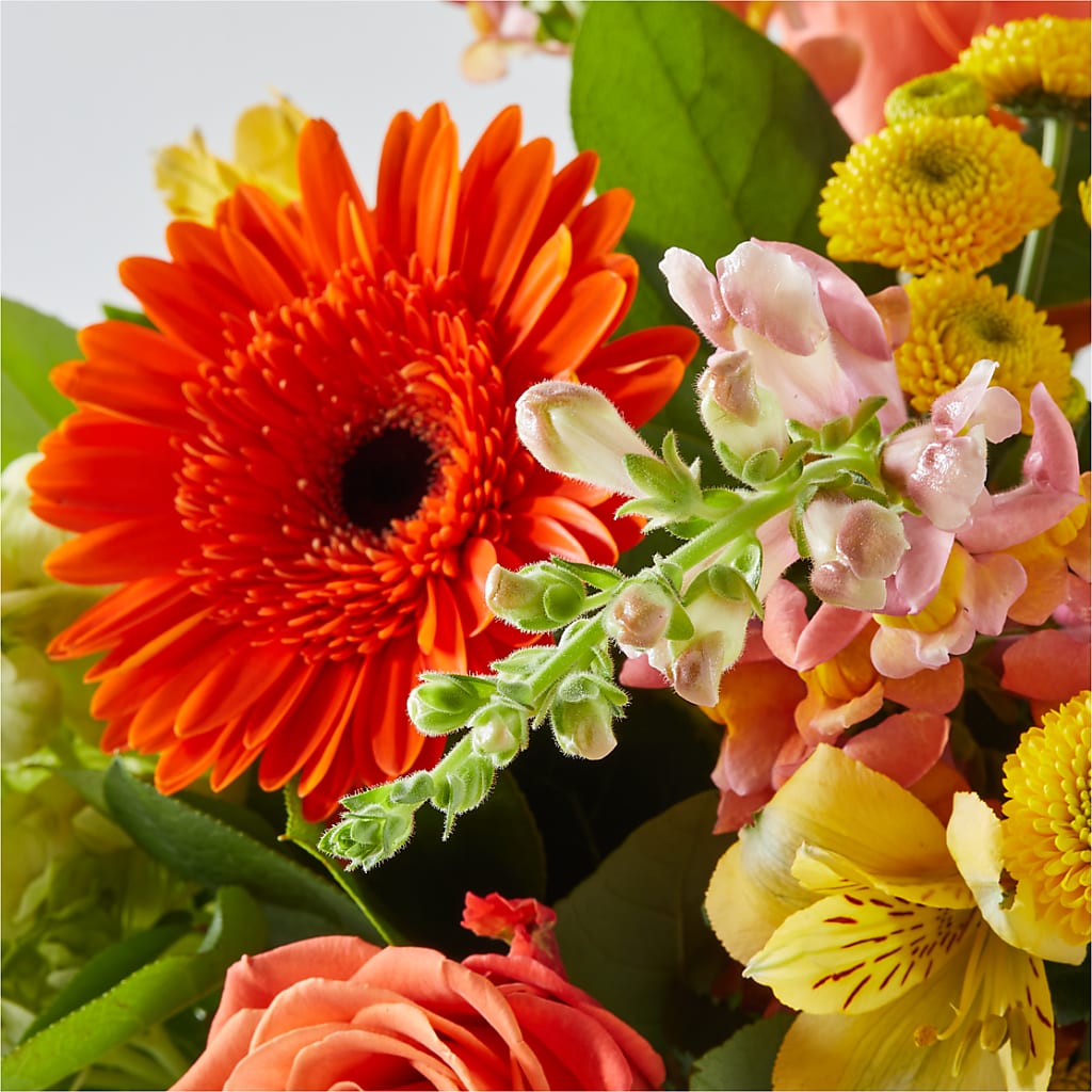 Autumn Sunshine Bouquet –  Beantown Florist, Everett MA