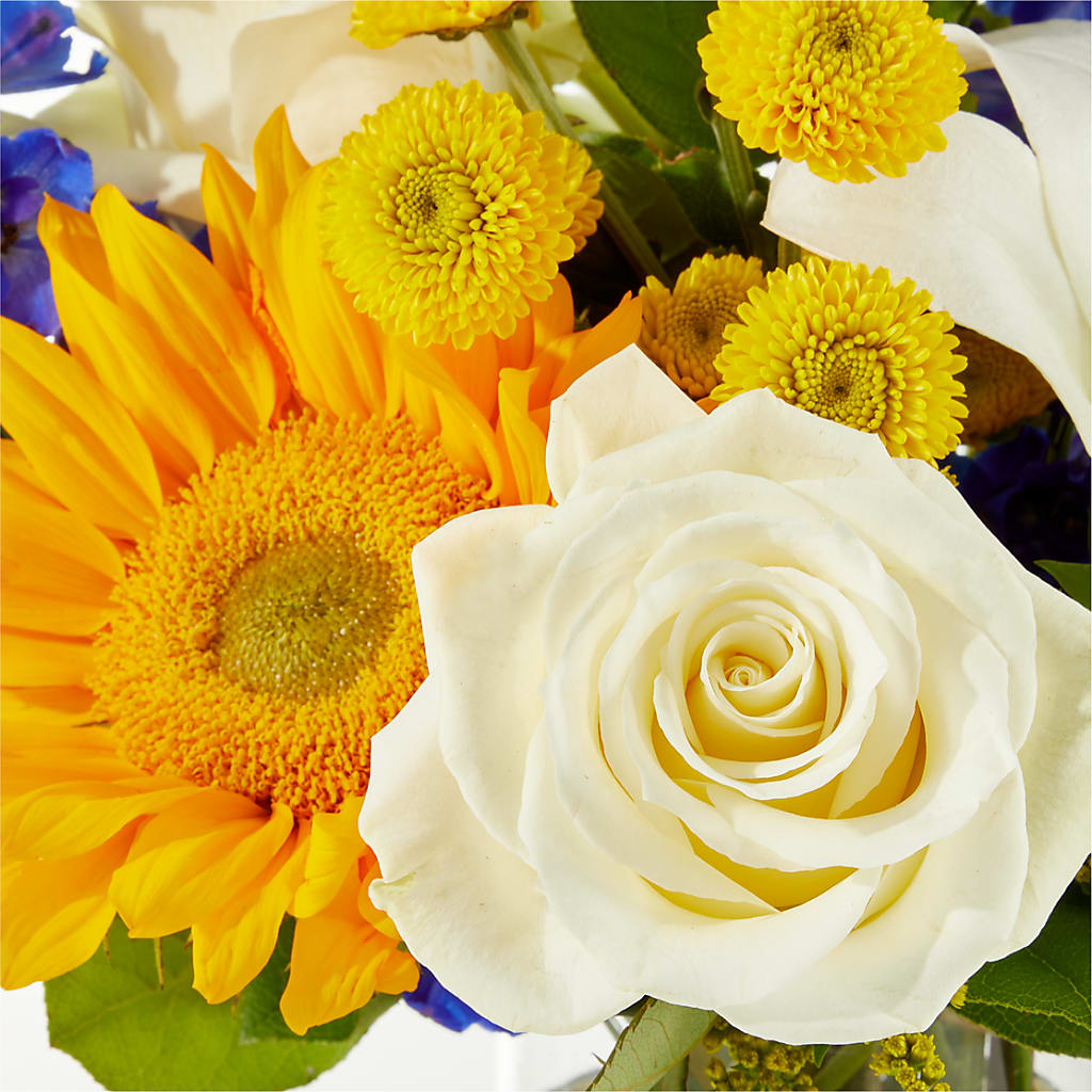Stargazing Bouquet –  Beantown Florist, Everett MA