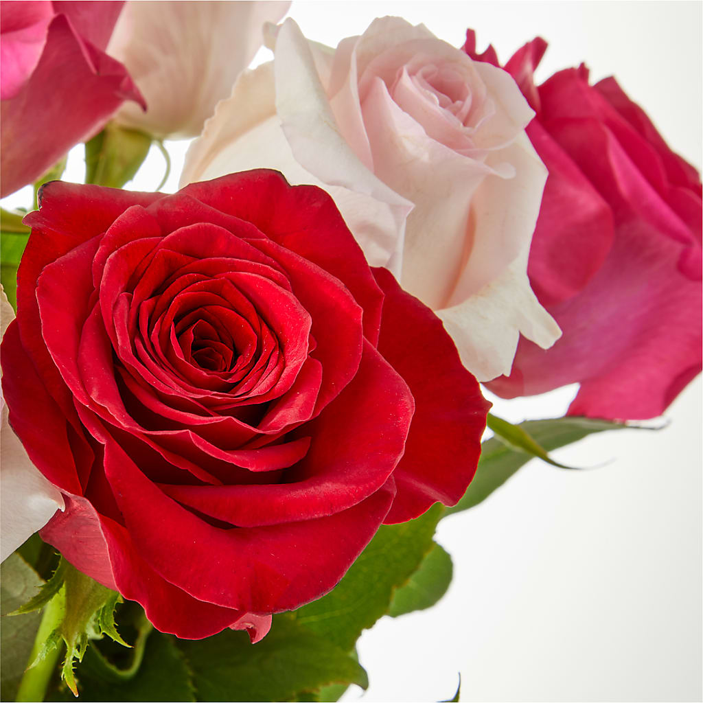 Charming Rose Bouquet –  Beantown Florist, Everett MA