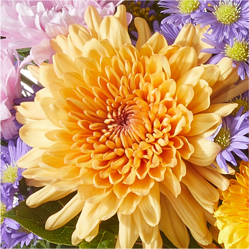 Countryside Bouquet –  Beantown Florist, Everett MA