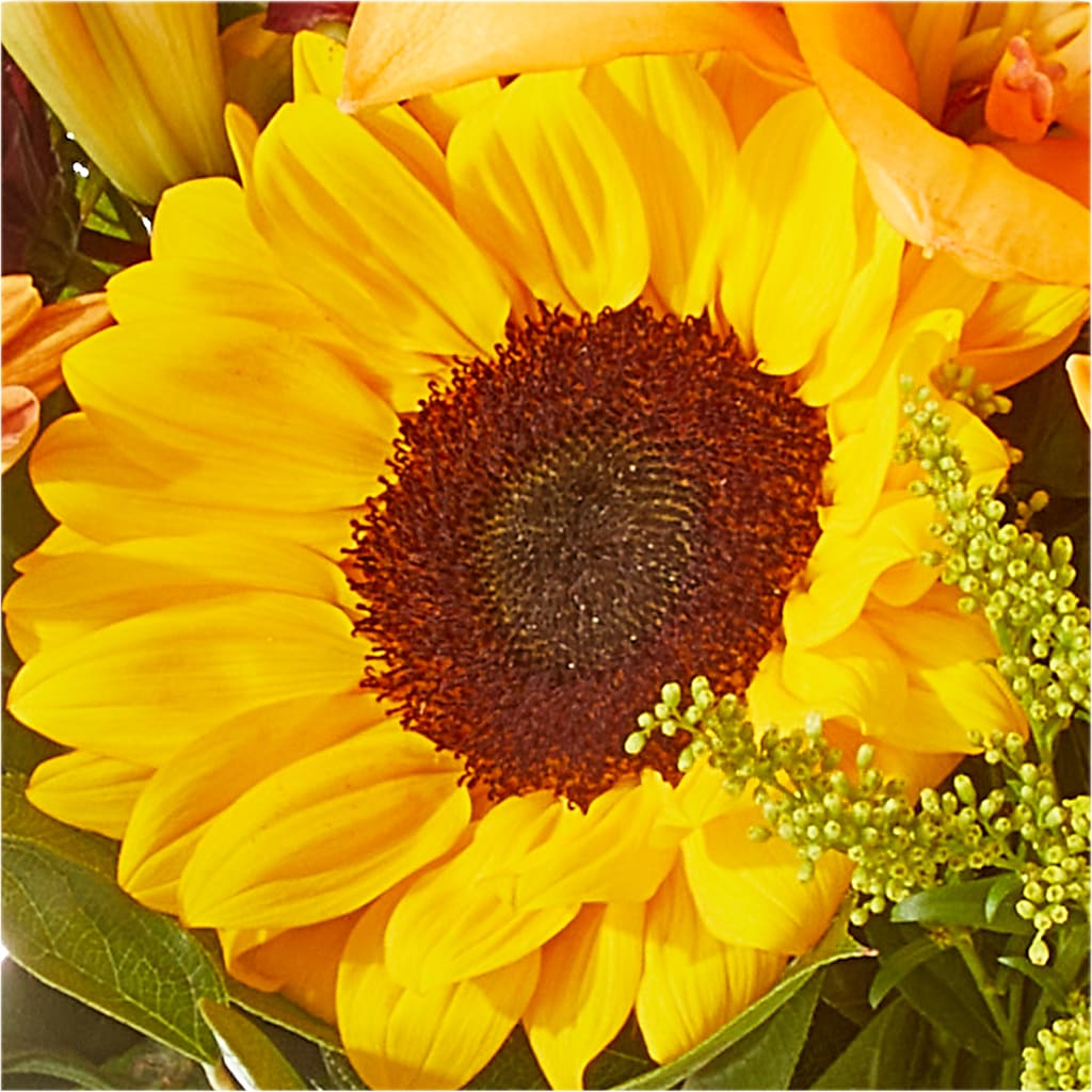 Seasons Change Bouquet –  Beantown Florist, Everett MA