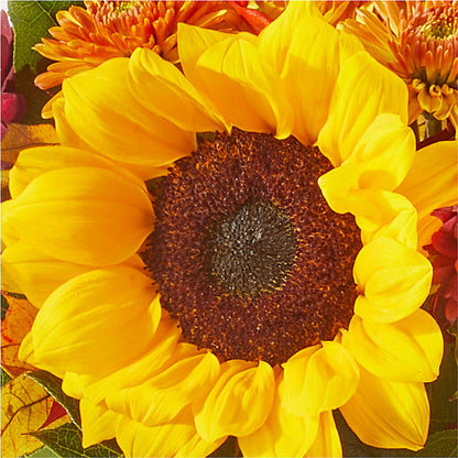 Sunny Side Bouquet –  Beantown Florist, Everett MA