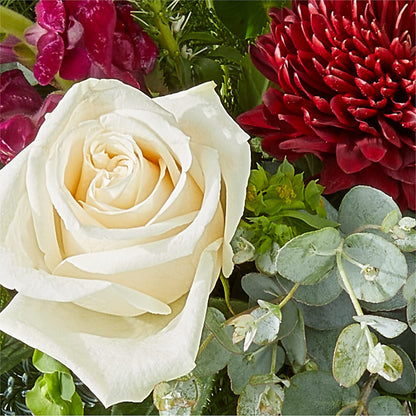 Cranberry Fizz Bouquet –  Beantown Florist, Everett MA