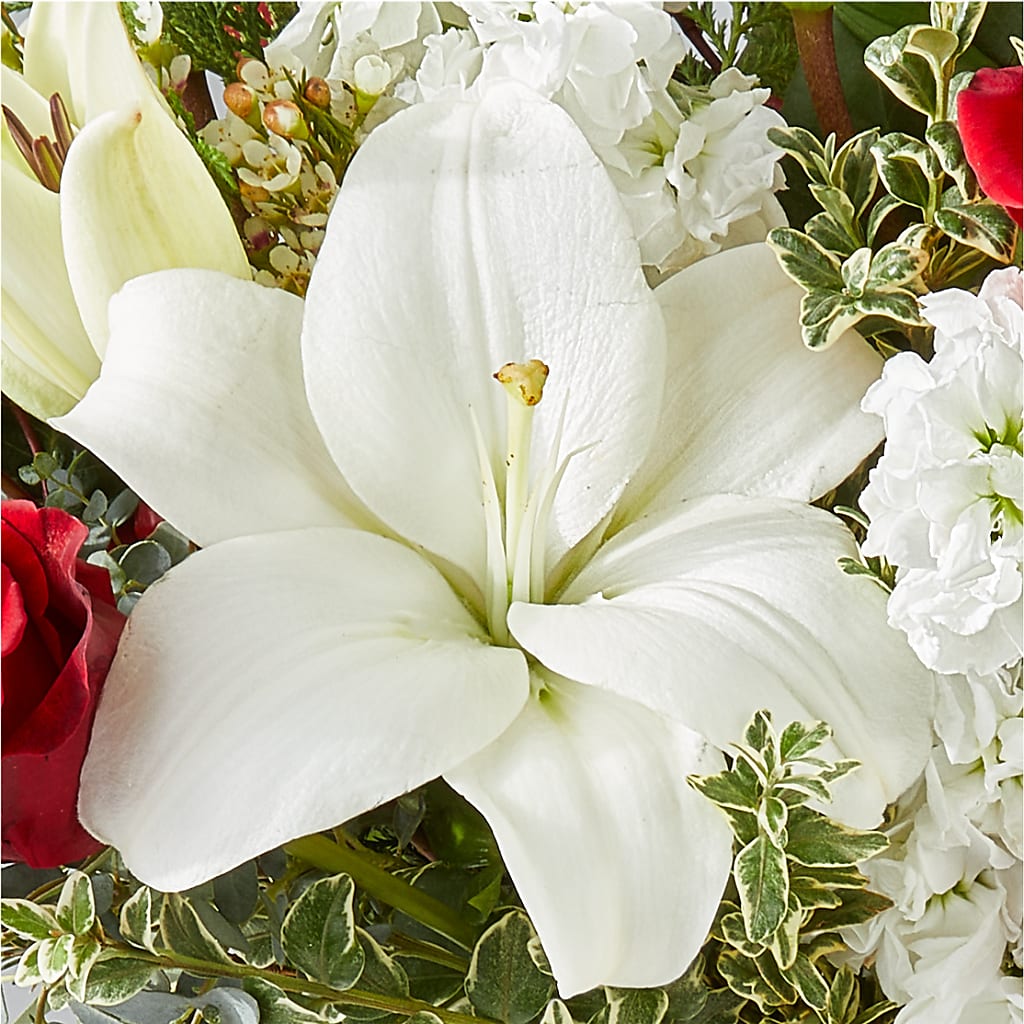 Twinkle Lights Bouquet –  Beantown Florist, Everett MA