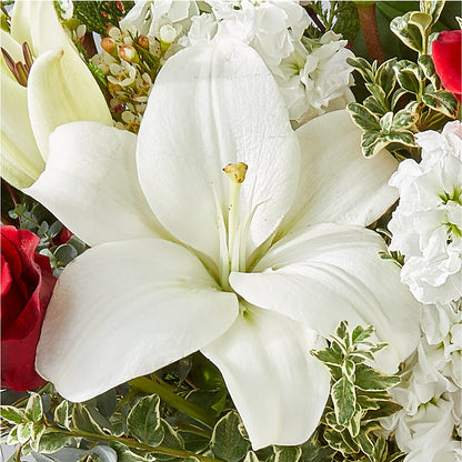 Twinkle Lights Bouquet –  Beantown Florist, Everett MA