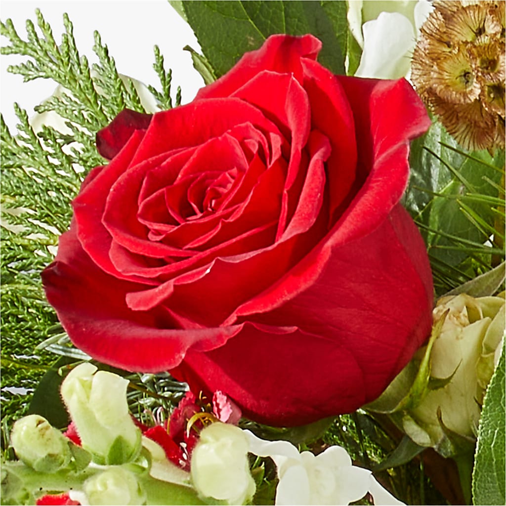 Deck the Halls Bouquet –  Beantown Florist, Everett MA