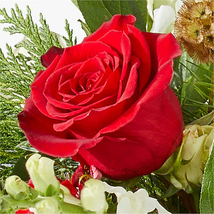 Deck the Halls Bouquet –  Beantown Florist, Everett MA