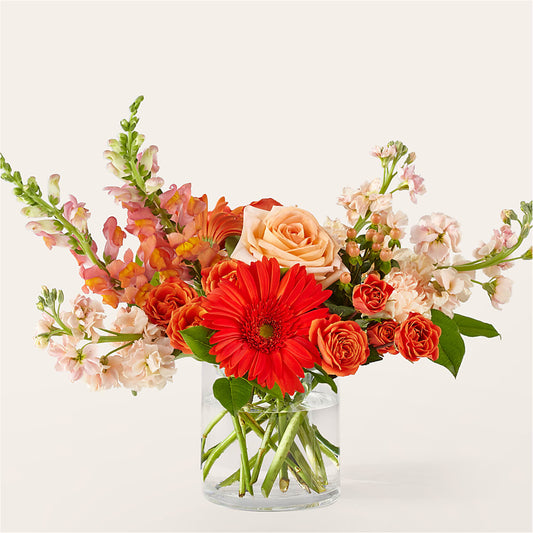 Paloma Please Bouquet –  Beantown Florist, Everett MA