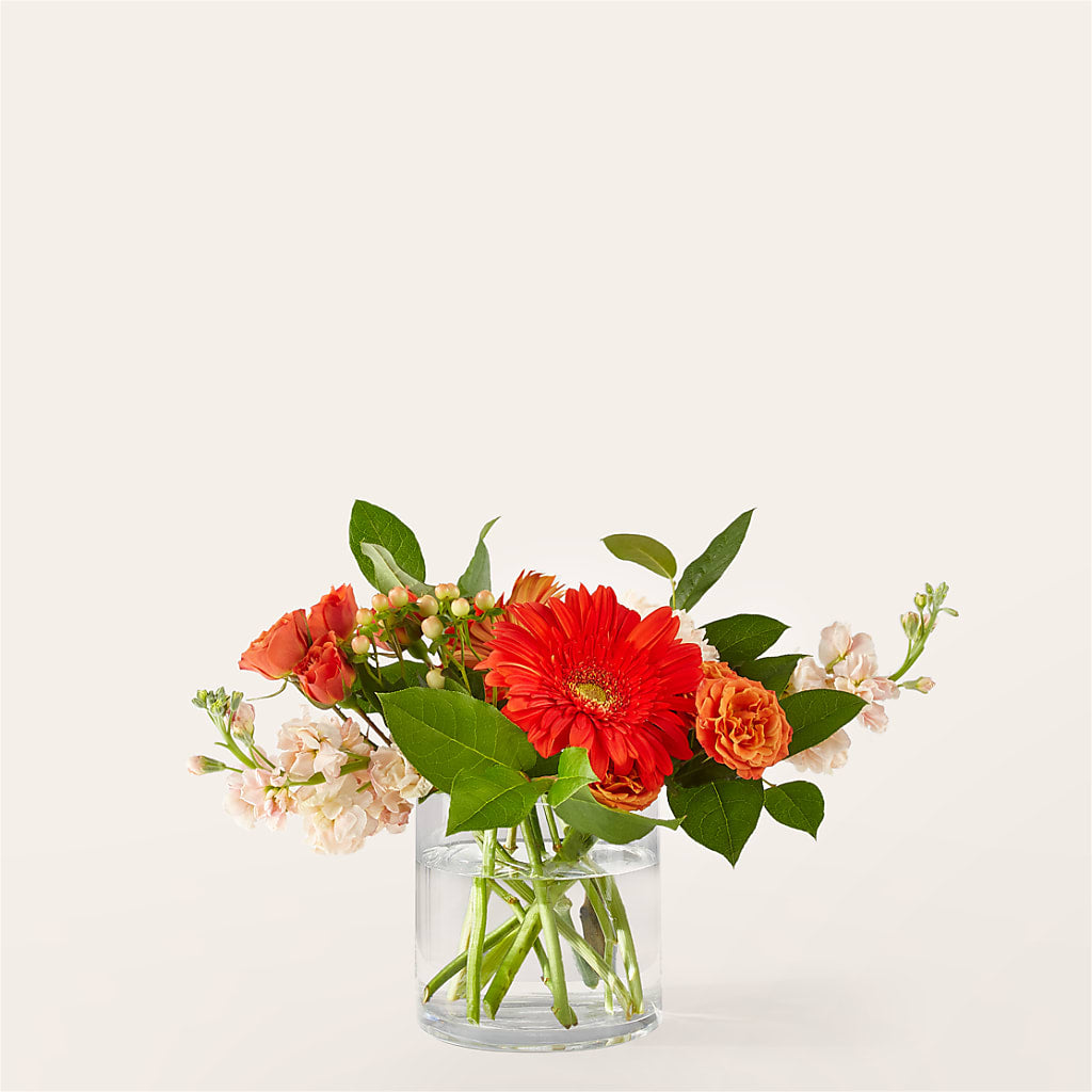 Paloma Please Bouquet –  Beantown Florist, Everett MA