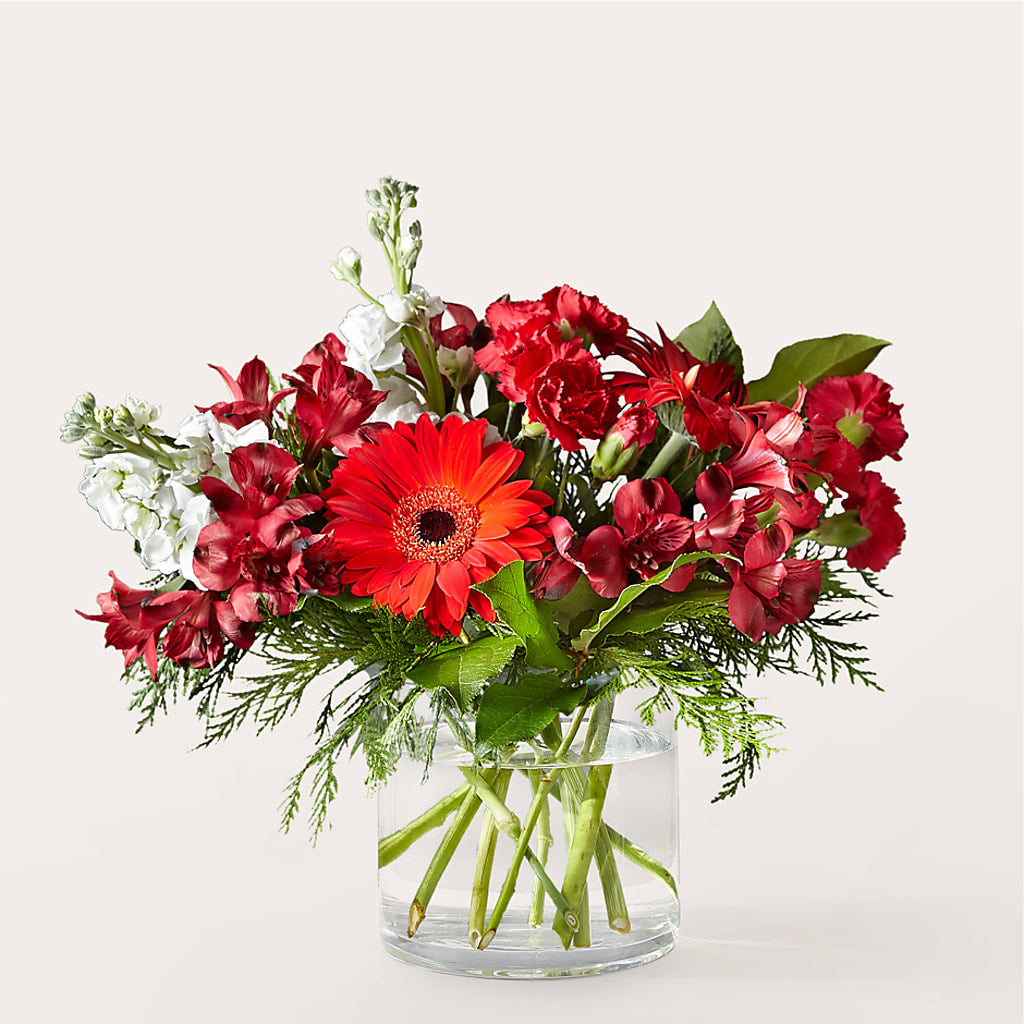 Holidaisy Bouquet –  Beantown Florist, Everett MA