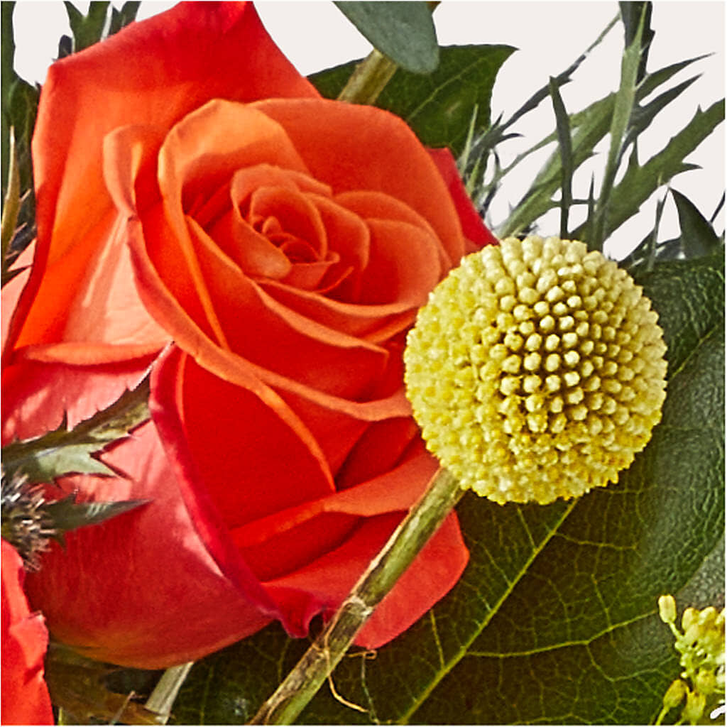 Disco Bouquet –  Beantown Florist, Everett MA