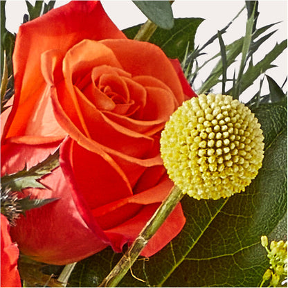 Disco Bouquet –  Beantown Florist, Everett MA
