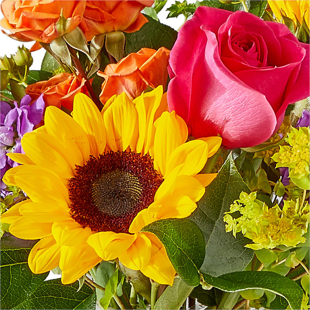Vibrant Greetings Bouquet –  Beantown Florist, Everett MA