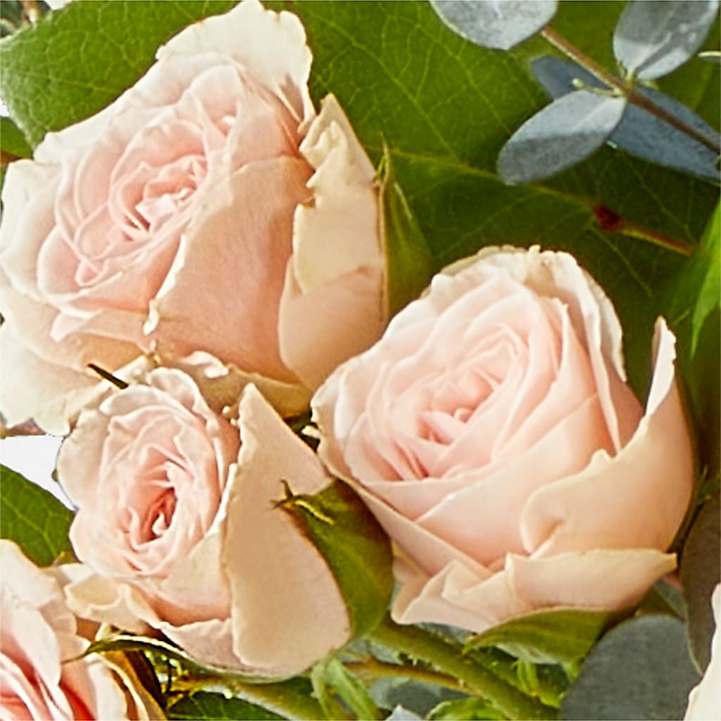 Inspired Bouquet –  Beantown Florist, Everett MA