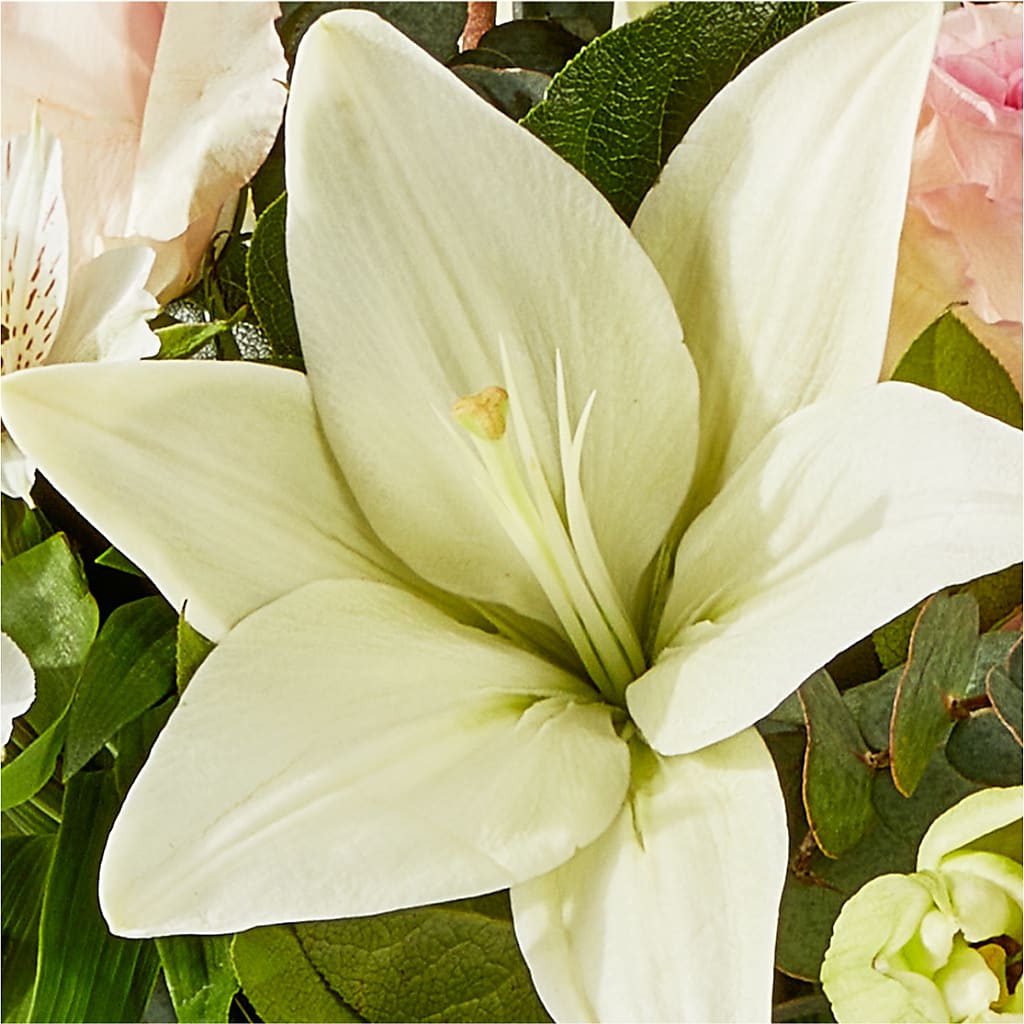 Ballet Slippers Bouquet –  Beantown Florist, Everett MA