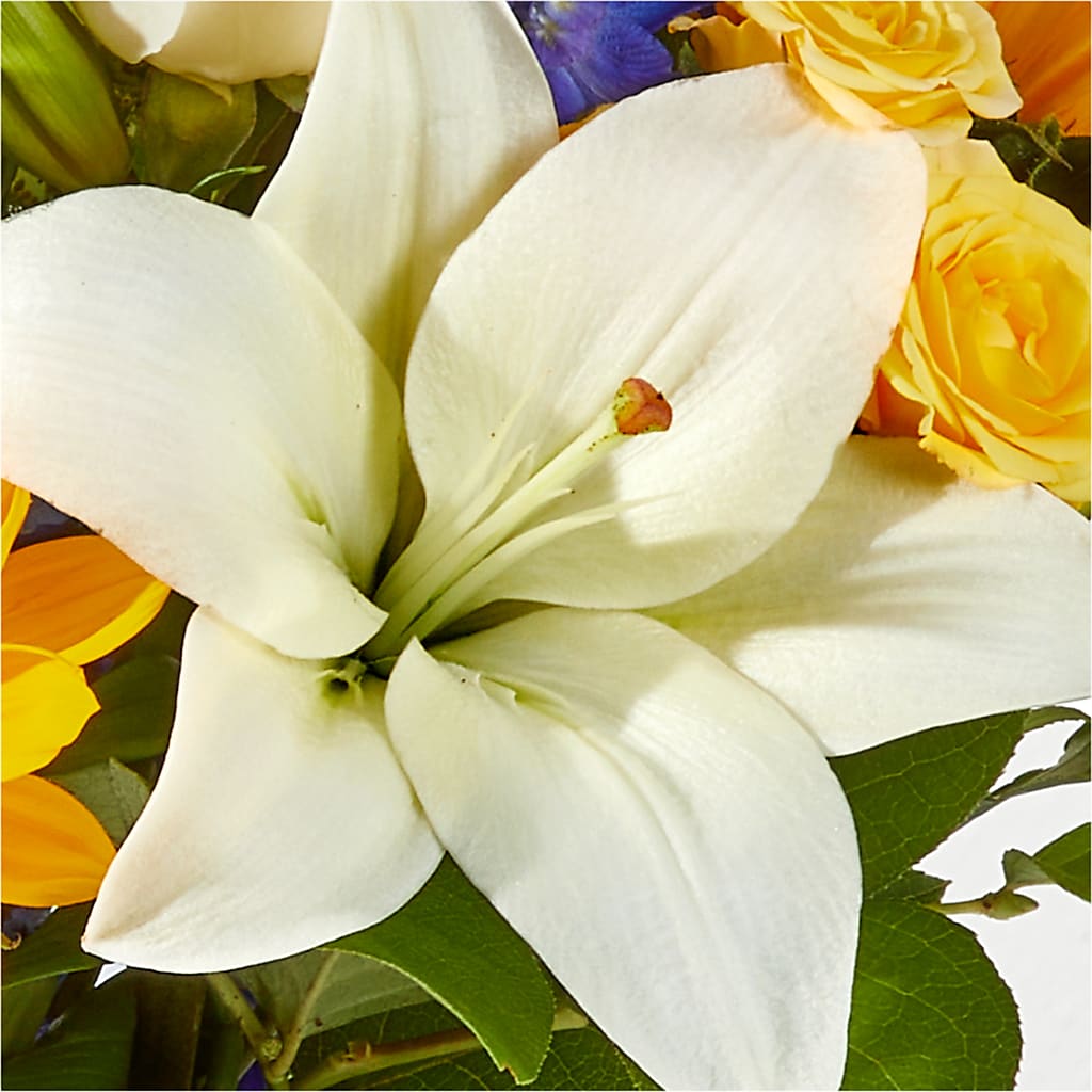 Wonderfully Sunny Bouquet –  Beantown Florist, Everett MA