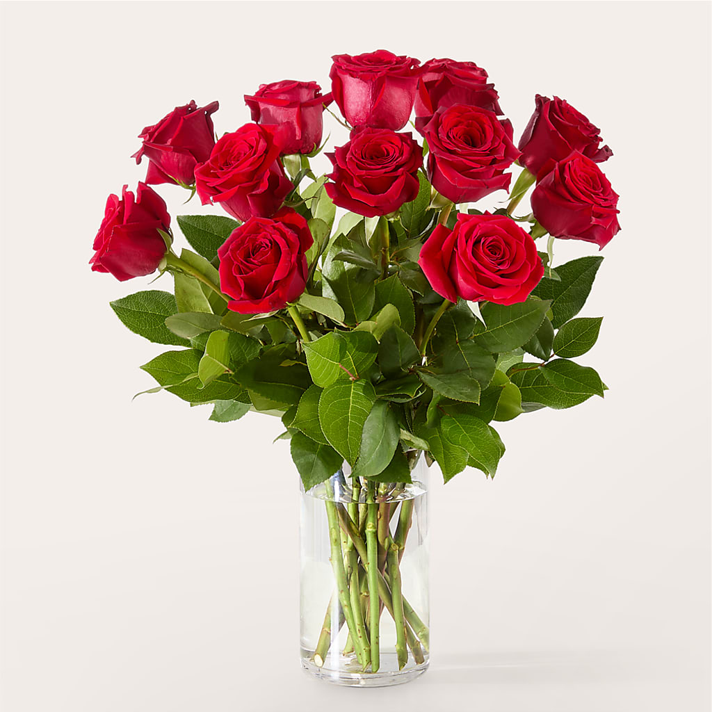The One Red Rose Bouquet –  Beantown Florist, Everett MA