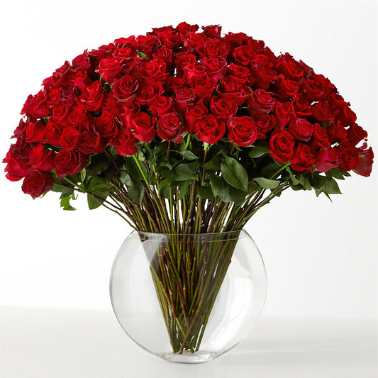 The Idealist –  Beantown Florist, Everett MA