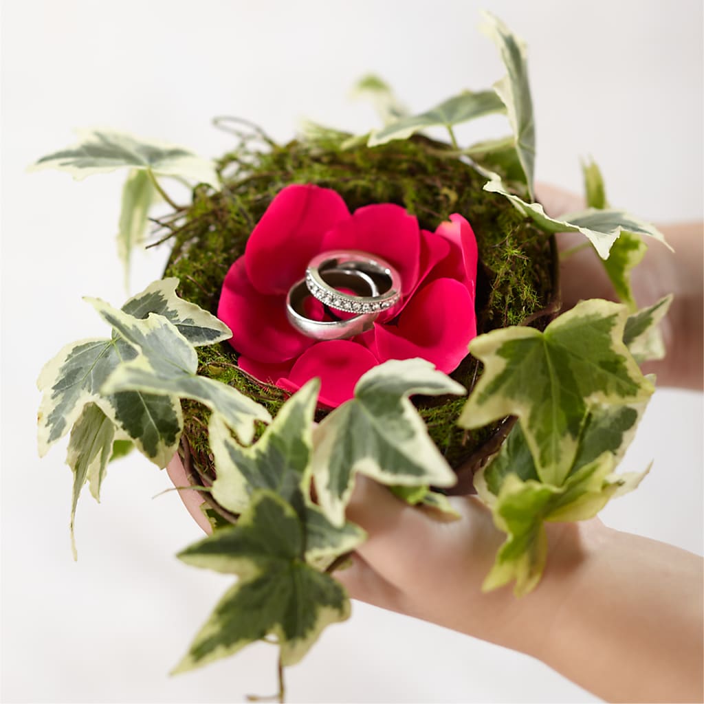 Lila Rose Ring Nest –  Beantown Florist, Everett MA