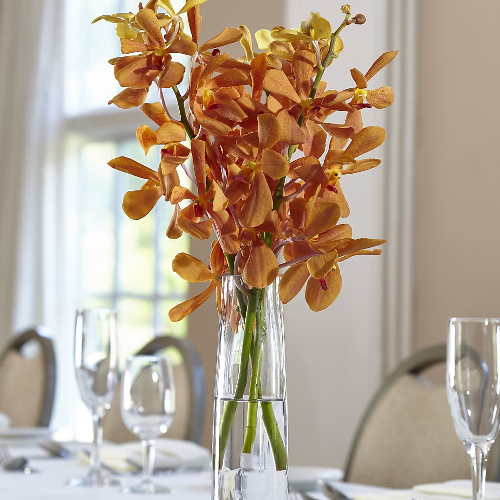 Orange Mokara Bud Vase –  Beantown Florist, Everett MA